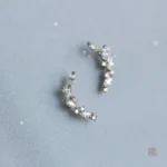 Accessoire féminin élégant, boucle d'oreilles en argent