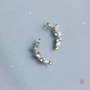 Accessoire féminin élégant, boucle d'oreilles en argent