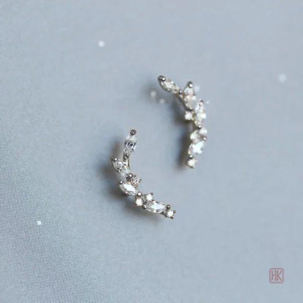Accessoire féminin élégant, boucle d'oreilles en argent