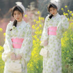 Kimono japonais vert élégant