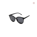 Modèle de lunettes de soleil tendance pour femmes modernes